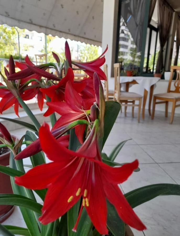 Hotel Rossi Vlore Exterior photo